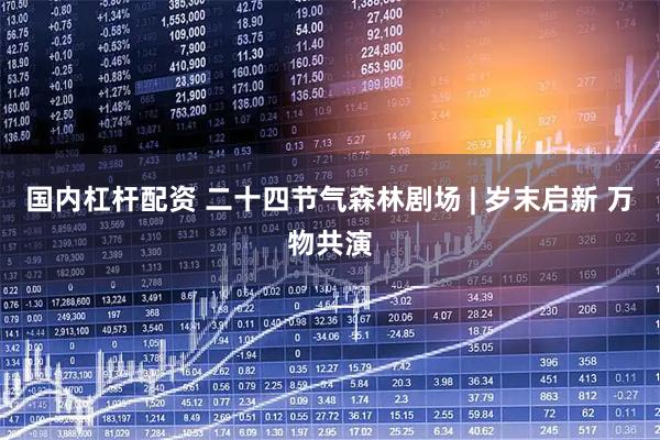 国内杠杆配资 二十四节气森林剧场 | 岁末启新 万物共演